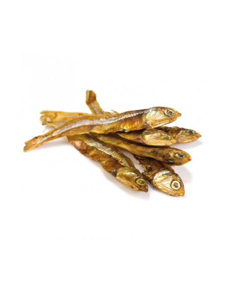 Arquivet Pescadito Seco 100gr Perro