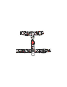 Arnes M Classy Betty Dashi