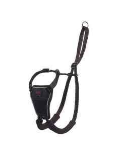 Arnes Non-Pull Halti Talla M 2