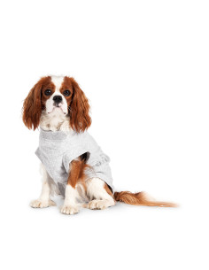 Body Protector Gris 26cm Karlie