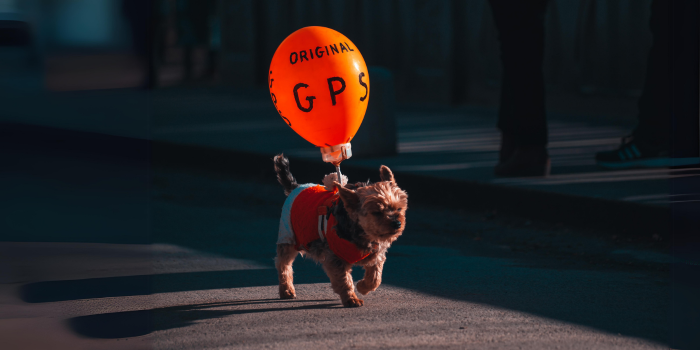 Rastreador GPS para Perros y Gatos: La Solución Ideal para la Seguridad de tu Mascota