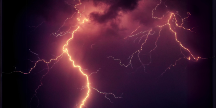 Cómo Ayudar a Animales Sensibles Durante Tormentas: Suplementos Naturales para Gestionar el Estrés