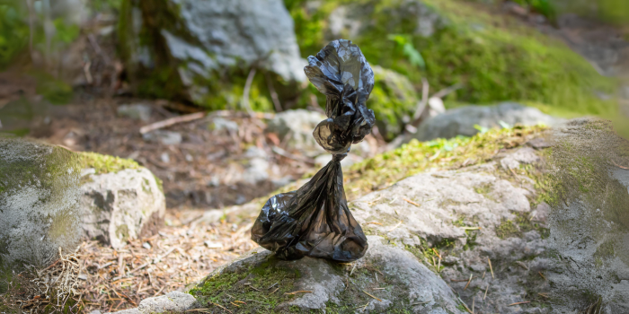Cuidado del Medio Ambiente: La Importancia de Usar Bolsas de Caca Compostables